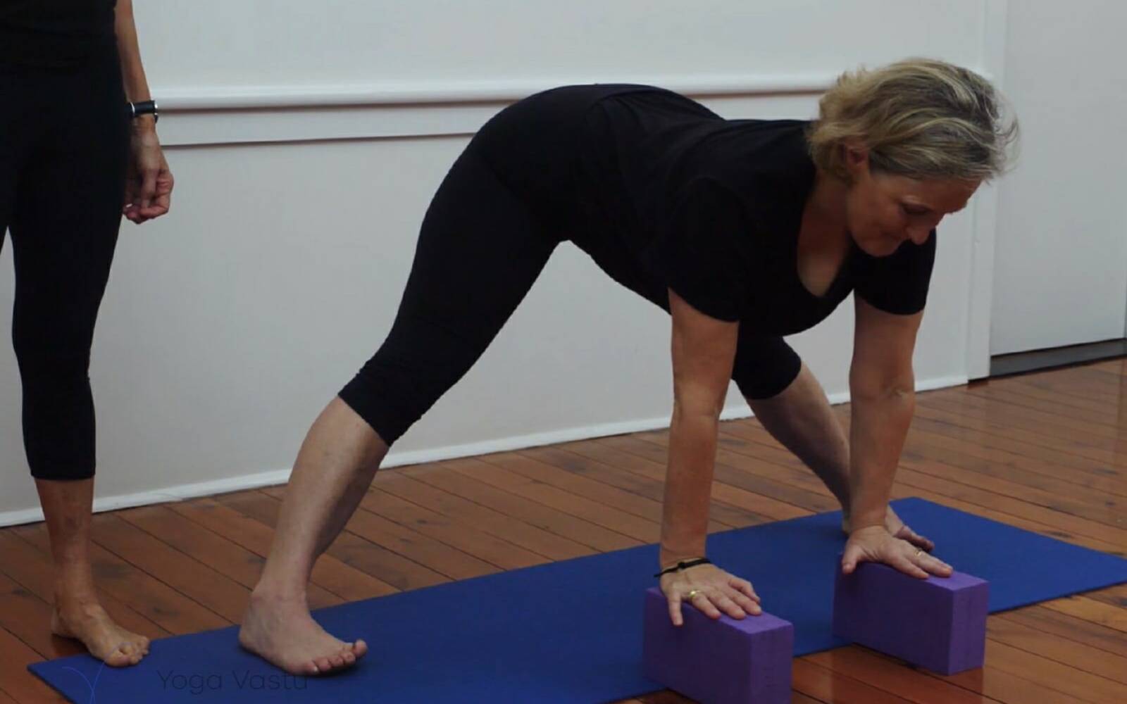 Online Iyengar yoga videos | Iyengar yoga for beginners class 3