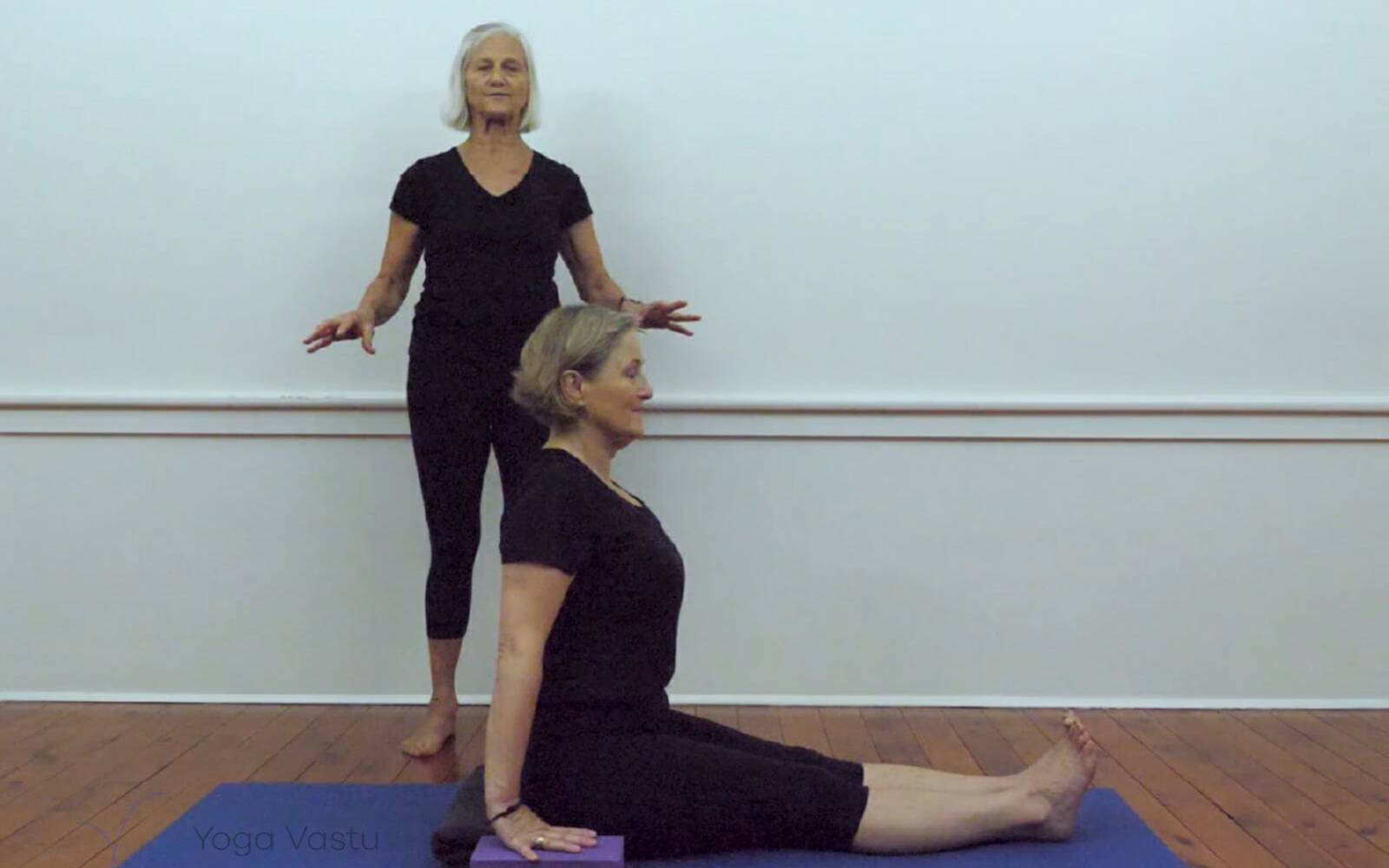 Online Iyengar yoga videos | Iyengar yoga for beginners class 3