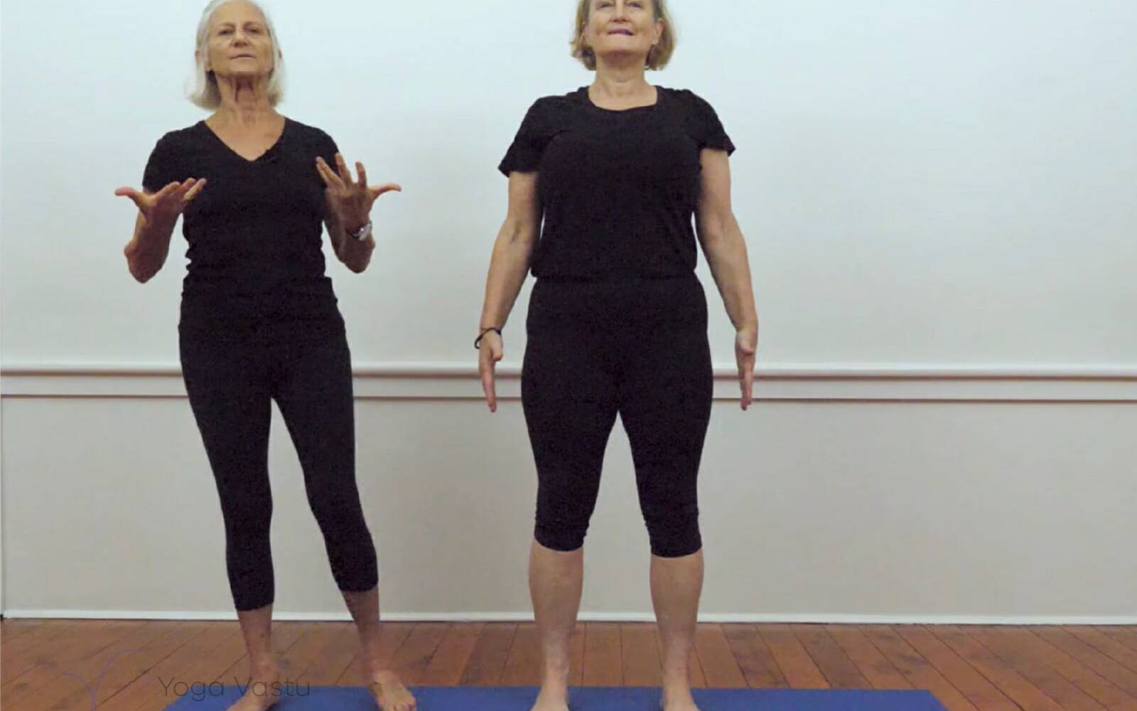Online Iyengar yoga videos | Iyengar yoga for beginners class 3