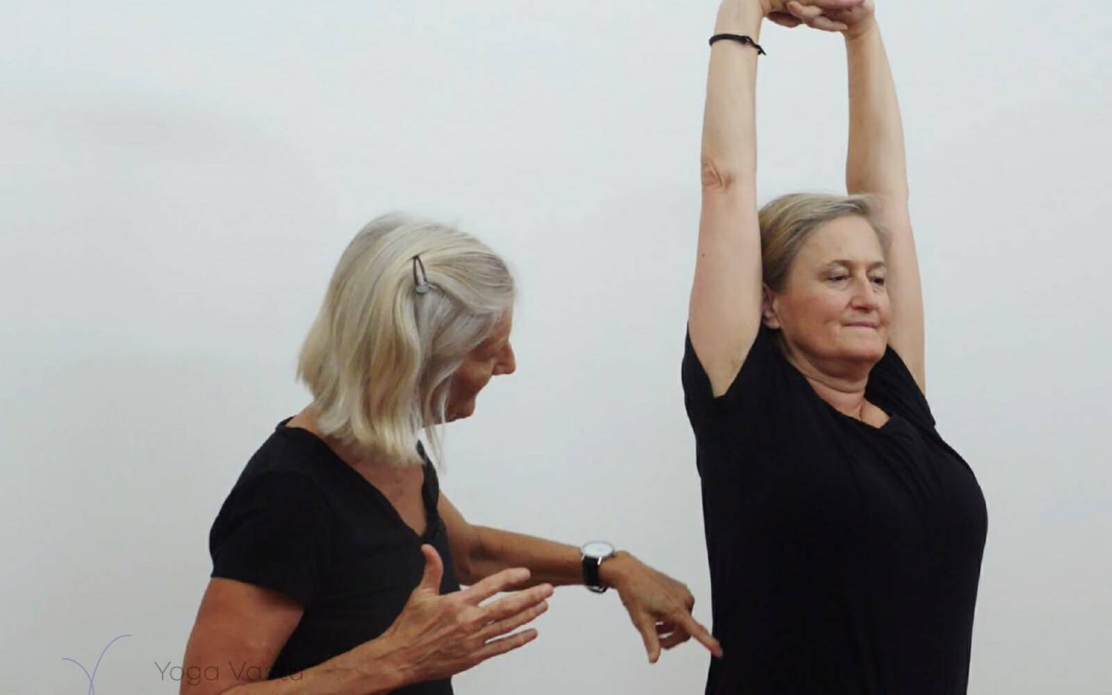 Online Iyengar yoga videos | Iyengar yoga for beginners class 3