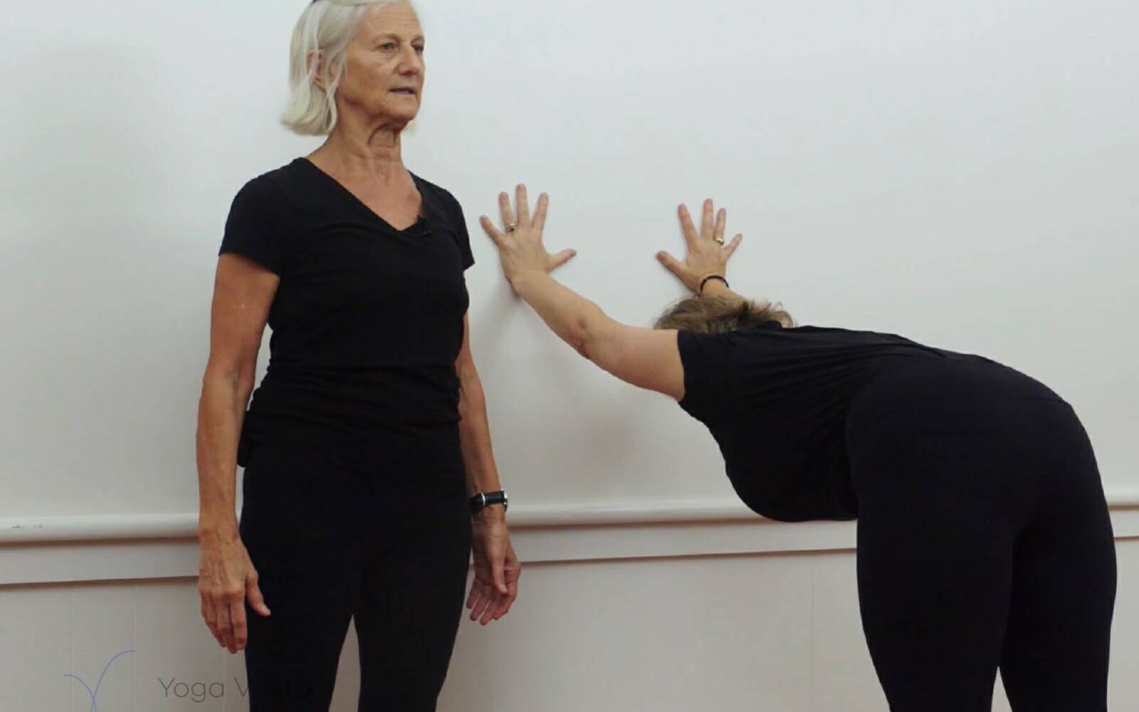 Online Iyengar yoga videos | Iyengar yoga for beginners class 3