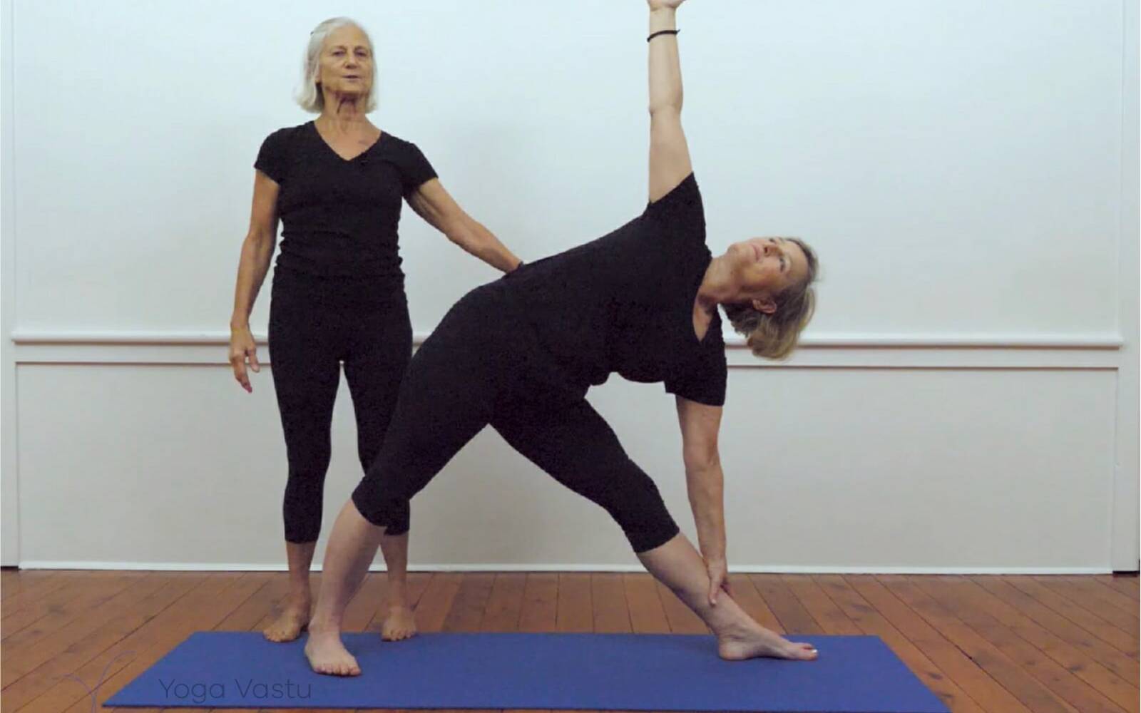 Online Iyengar yoga videos | Iyengar yoga for beginners class 3