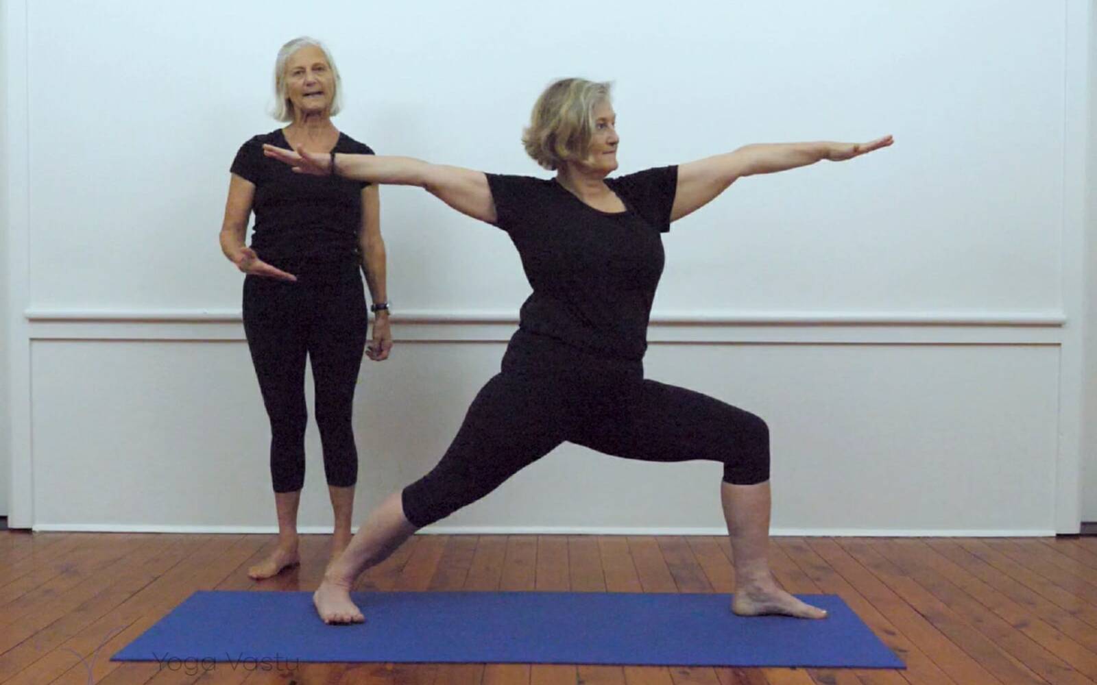Online Iyengar yoga videos | Iyengar yoga for beginners class 3