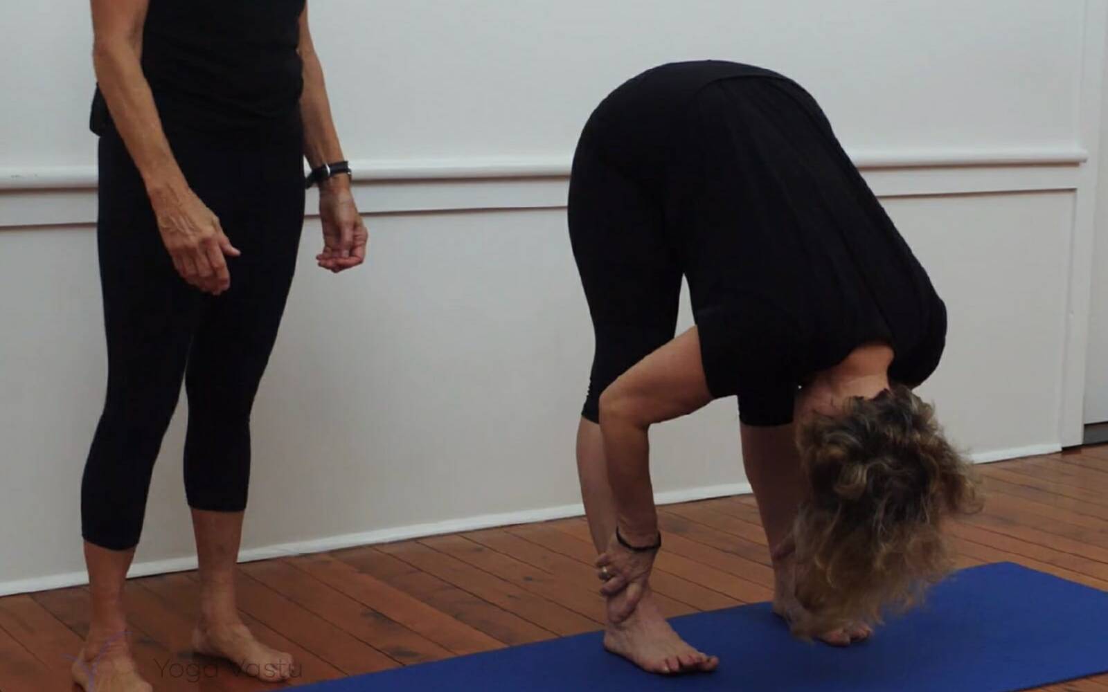 Online Iyengar yoga videos | Iyengar yoga for beginners class 3