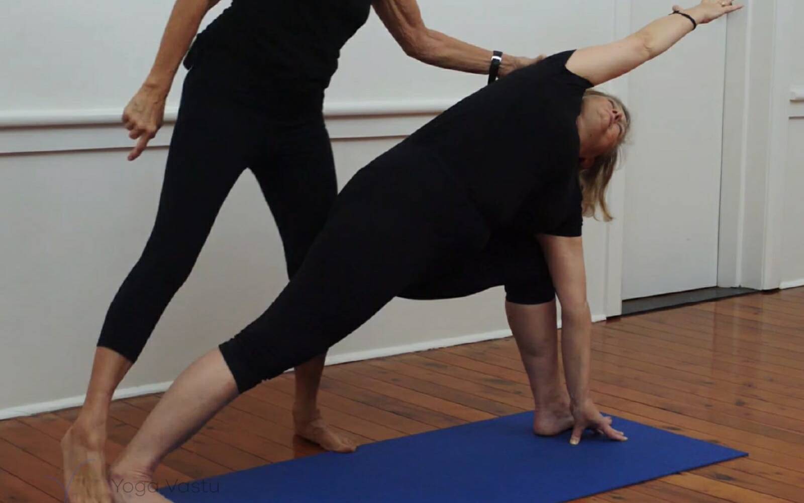 Online Iyengar yoga videos | Iyengar yoga for beginners class 3