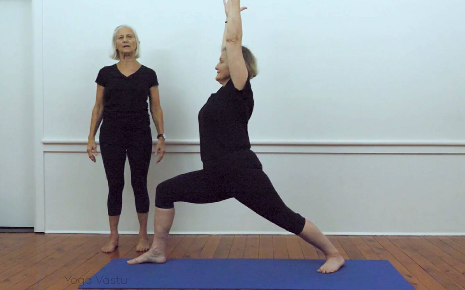 Online Iyengar yoga videos | Iyengar yoga for beginners class 3