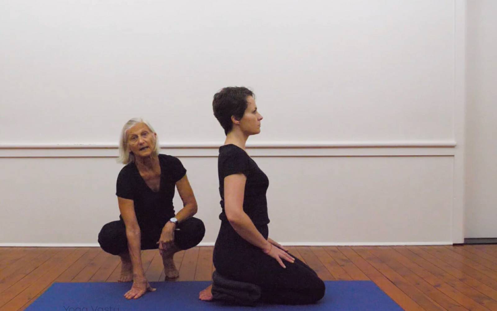 Online Iyengar yoga videos | Iyengar yoga for beginners class 2