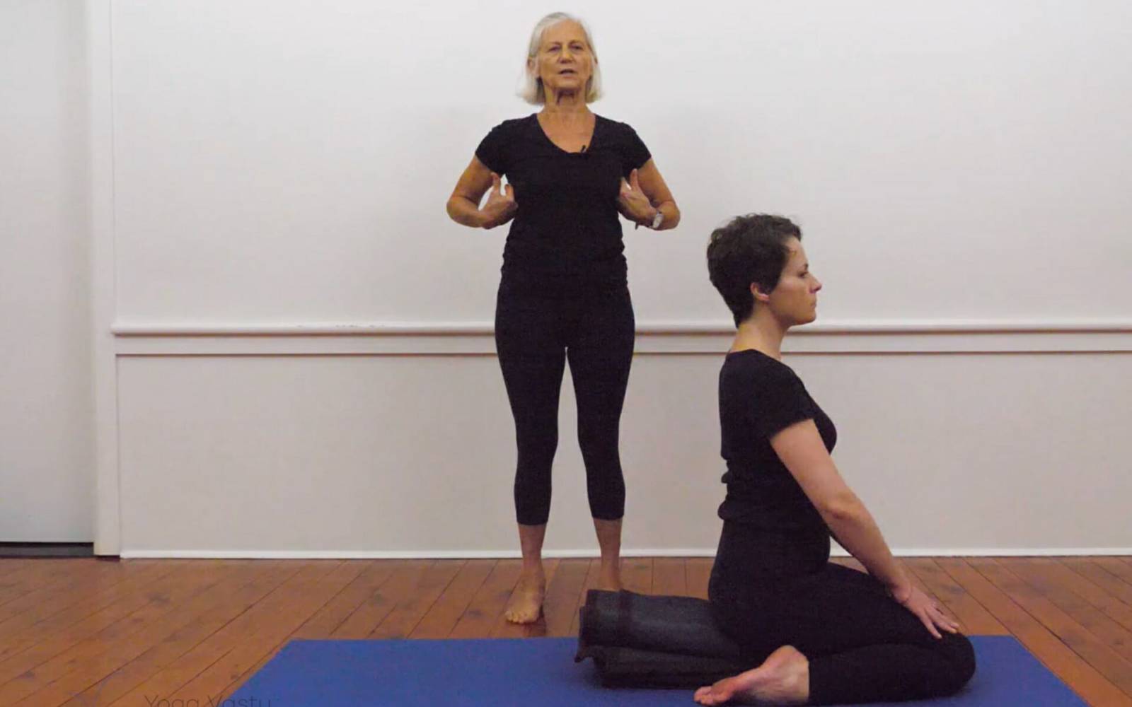 Online Iyengar yoga videos | Iyengar yoga for beginners class 2
