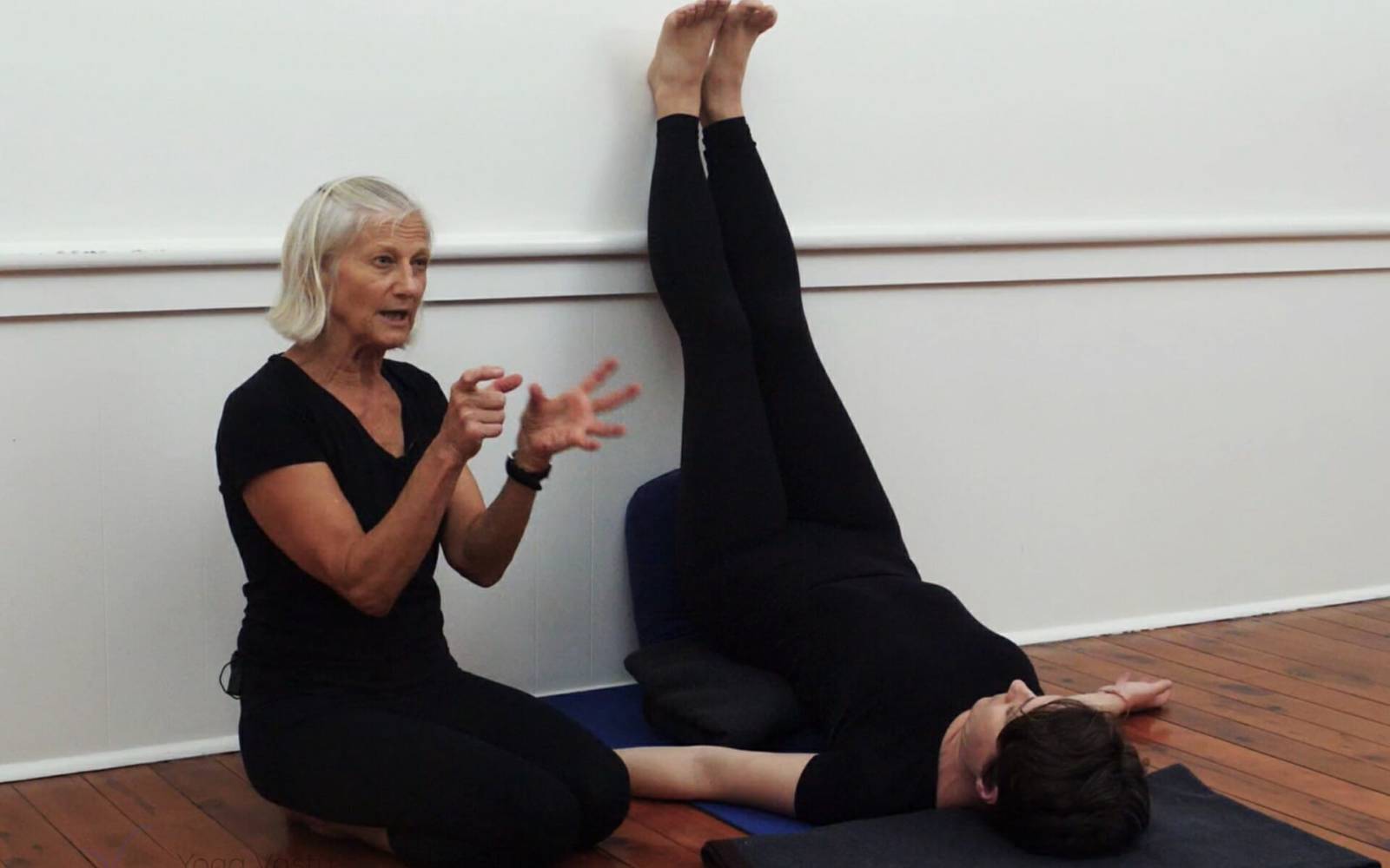 Online Iyengar yoga videos | Iyengar yoga for beginners class 2