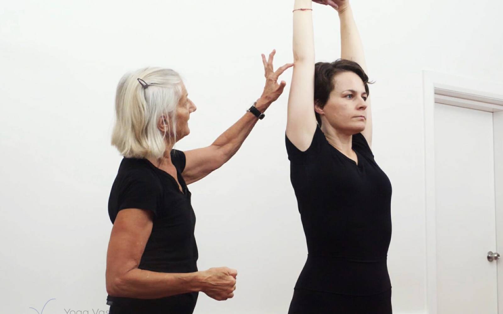 Online Iyengar yoga videos | Iyengar yoga for beginners class 2
