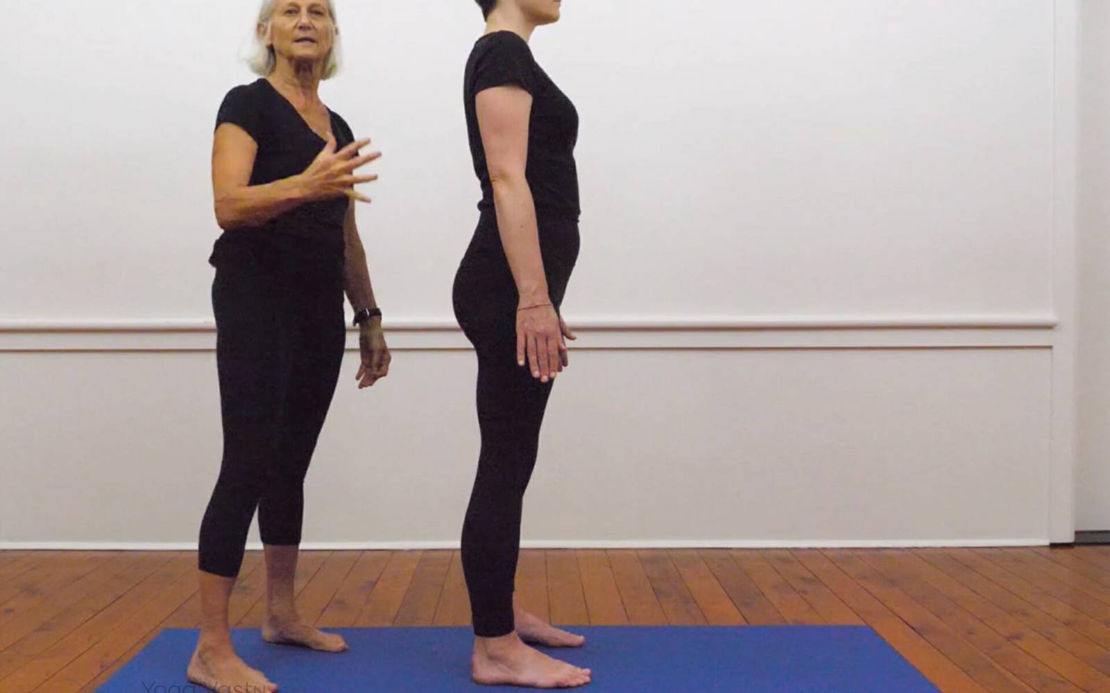 Online Iyengar yoga videos | Iyengar yoga for beginners class 2