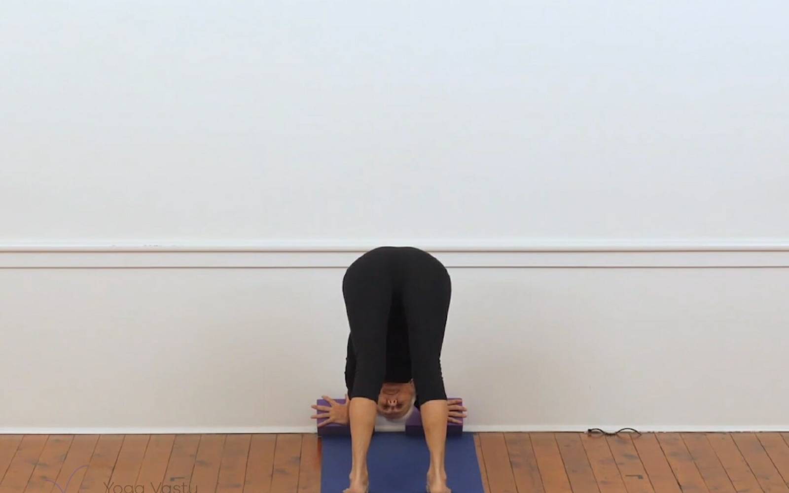 Online Iyengar yoga videos | Backbends for general level students (207)