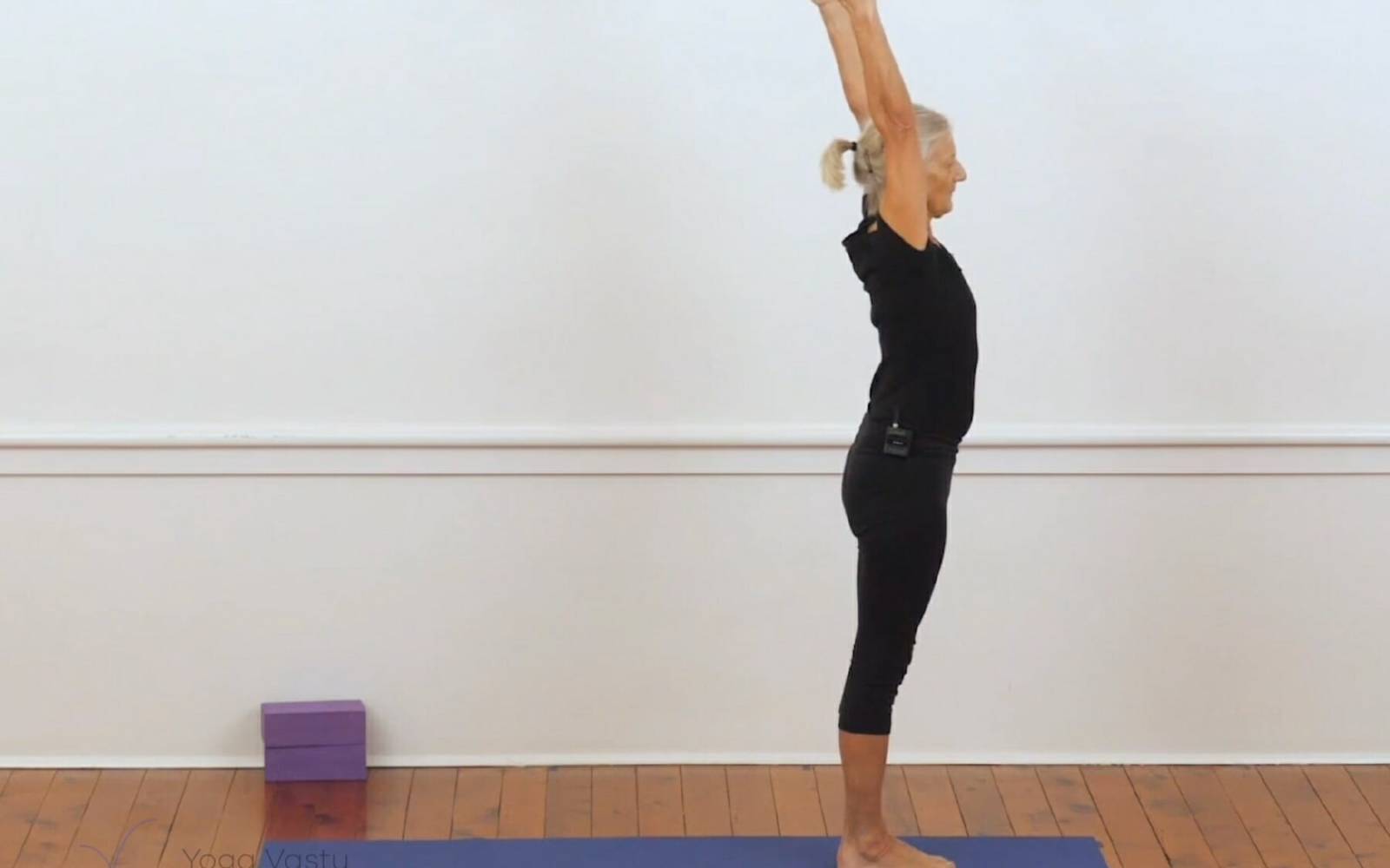 Online Iyengar yoga videos | Backbends for general level students (207)