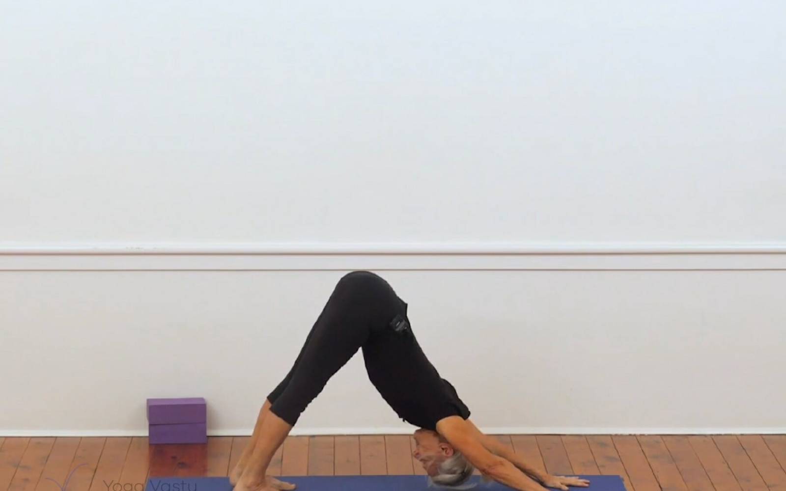 Online Iyengar yoga videos | Backbends for general level students (207)
