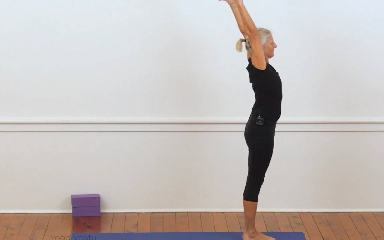 Online Iyengar yoga videos | Backbends for general level students (207)
