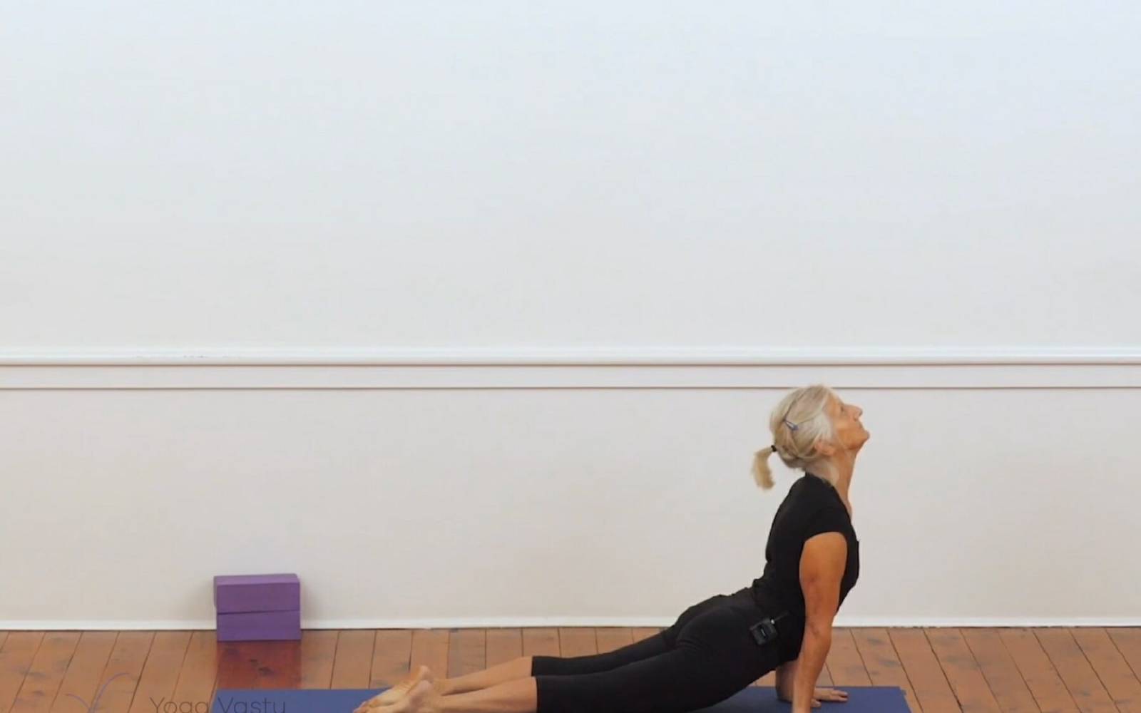 Online Iyengar yoga videos | Backbends for general level students (207)