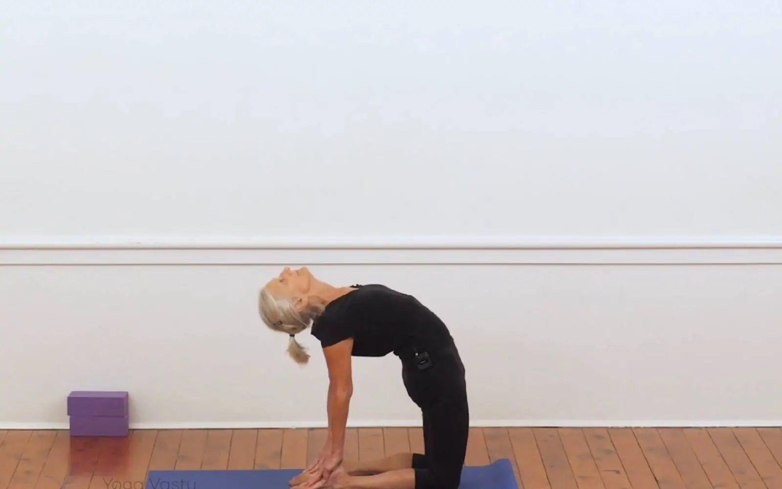 Online Iyengar yoga videos | Backbends for general level students (207)