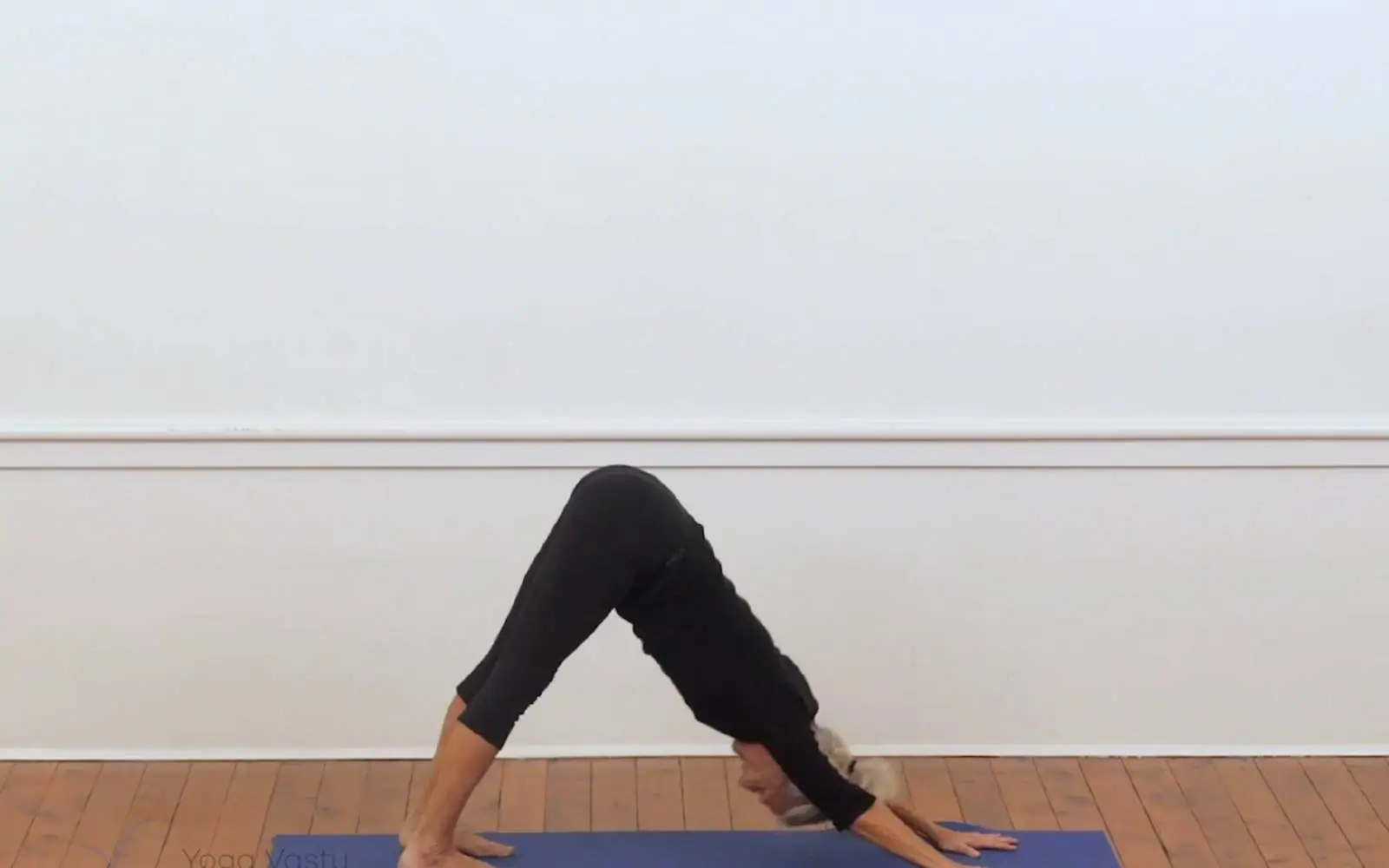 Online Iyengar yoga videos | Backbends for general level students (207)