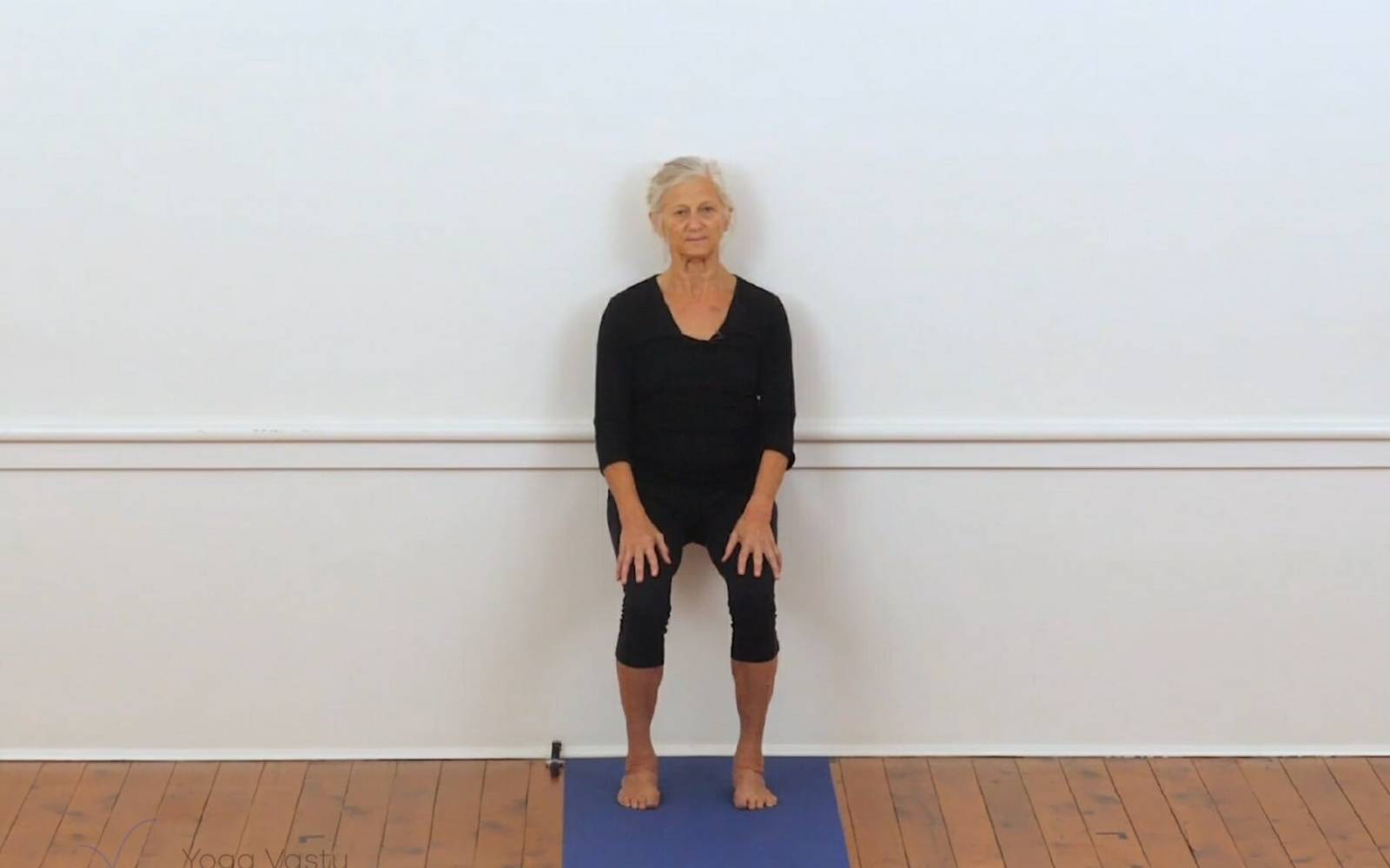 Online Iyengar yoga videos | Backbends for general level students (207)