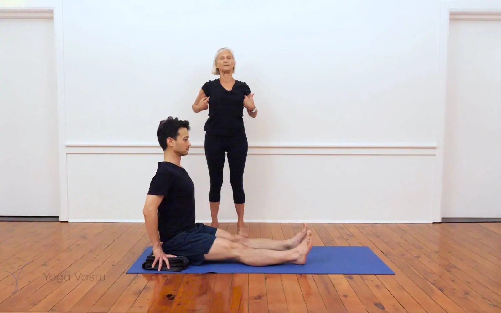 Online Iyengar yoga videos | Iyengar yoga for beginners class 1