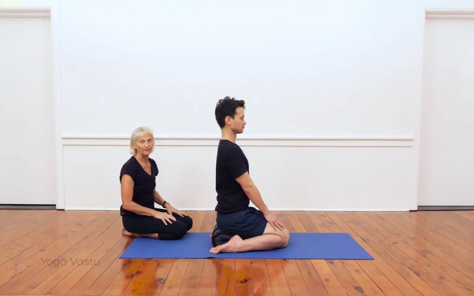 Online Iyengar yoga videos | Iyengar yoga for beginners class 1