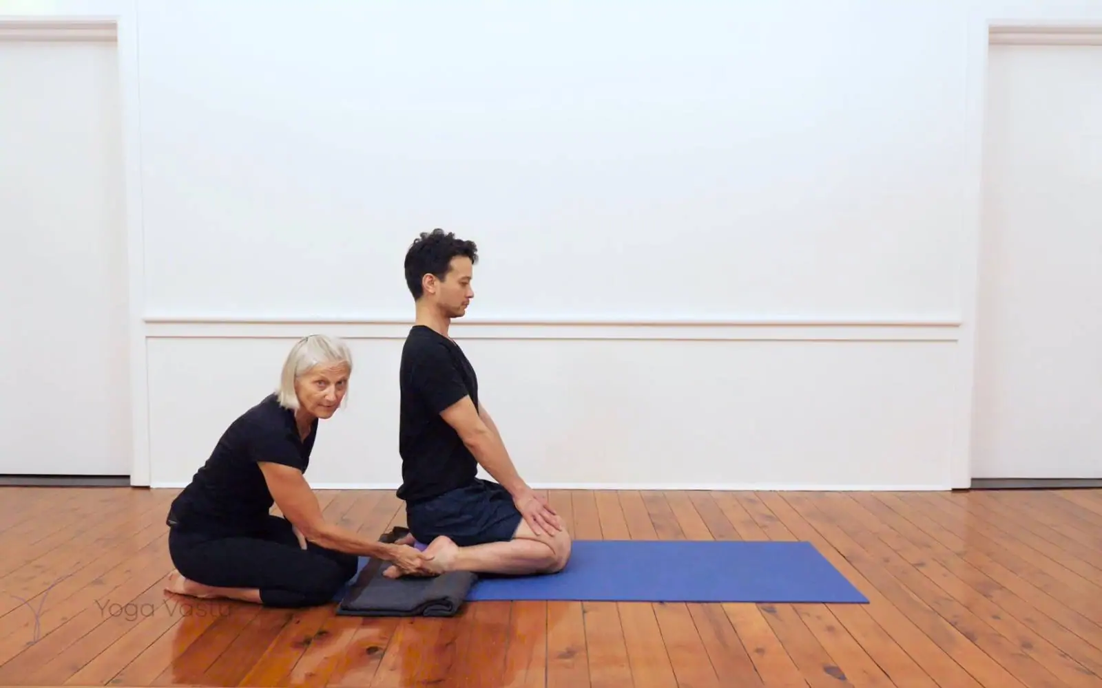 Online Iyengar yoga videos | Iyengar yoga for beginners class 1