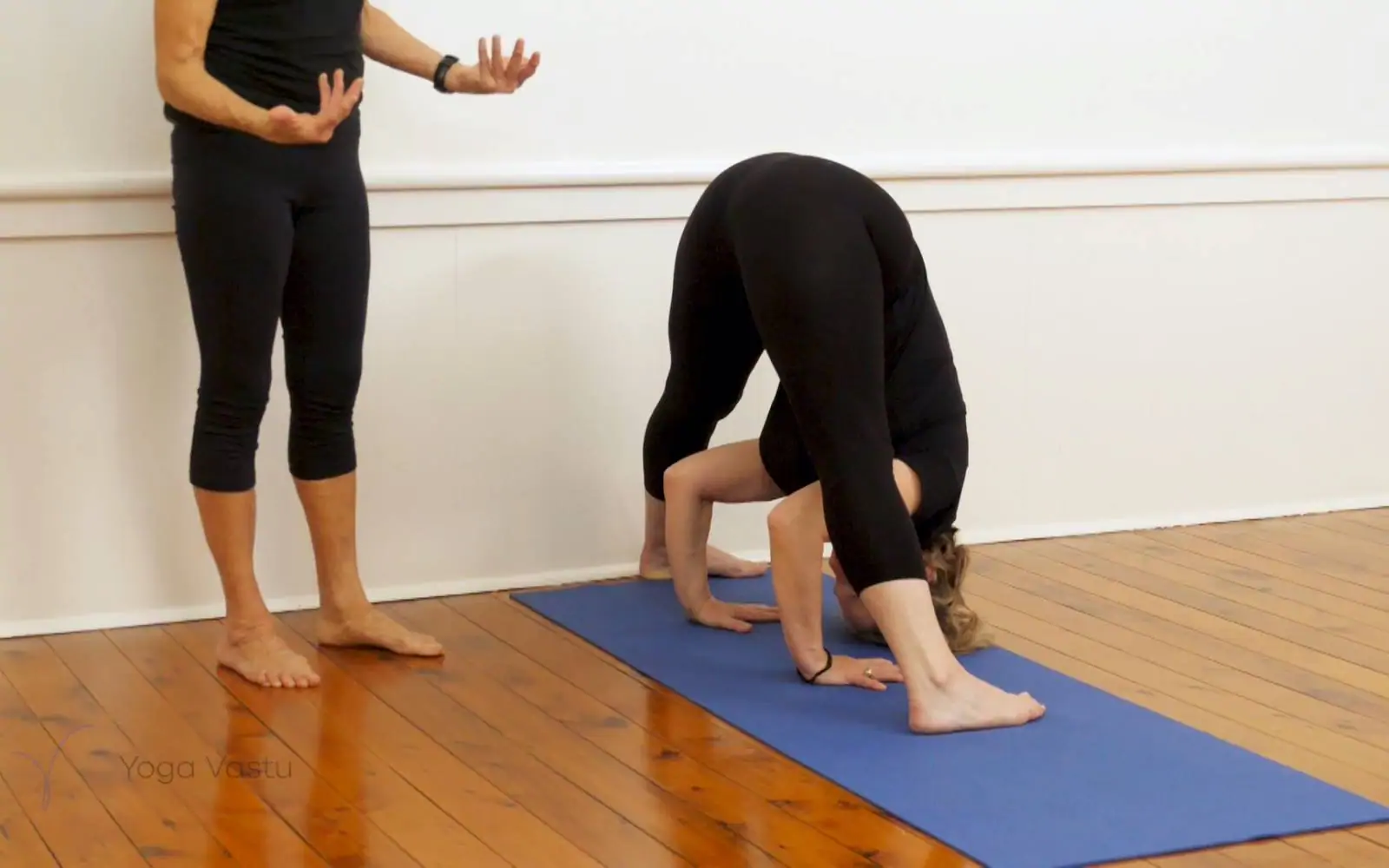Standing Wide Leg Forward Fold (Prasarita Padottanasana) - Australian  School of Meditation & Yoga