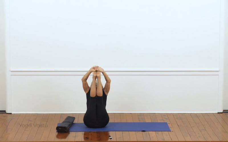 Upward Facing Intense Stretch Pose (Urdhva Mukha Paschimottanasana ...