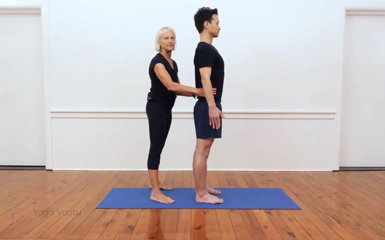 Online Iyengar yoga videos | Iyengar yoga for beginners class 1