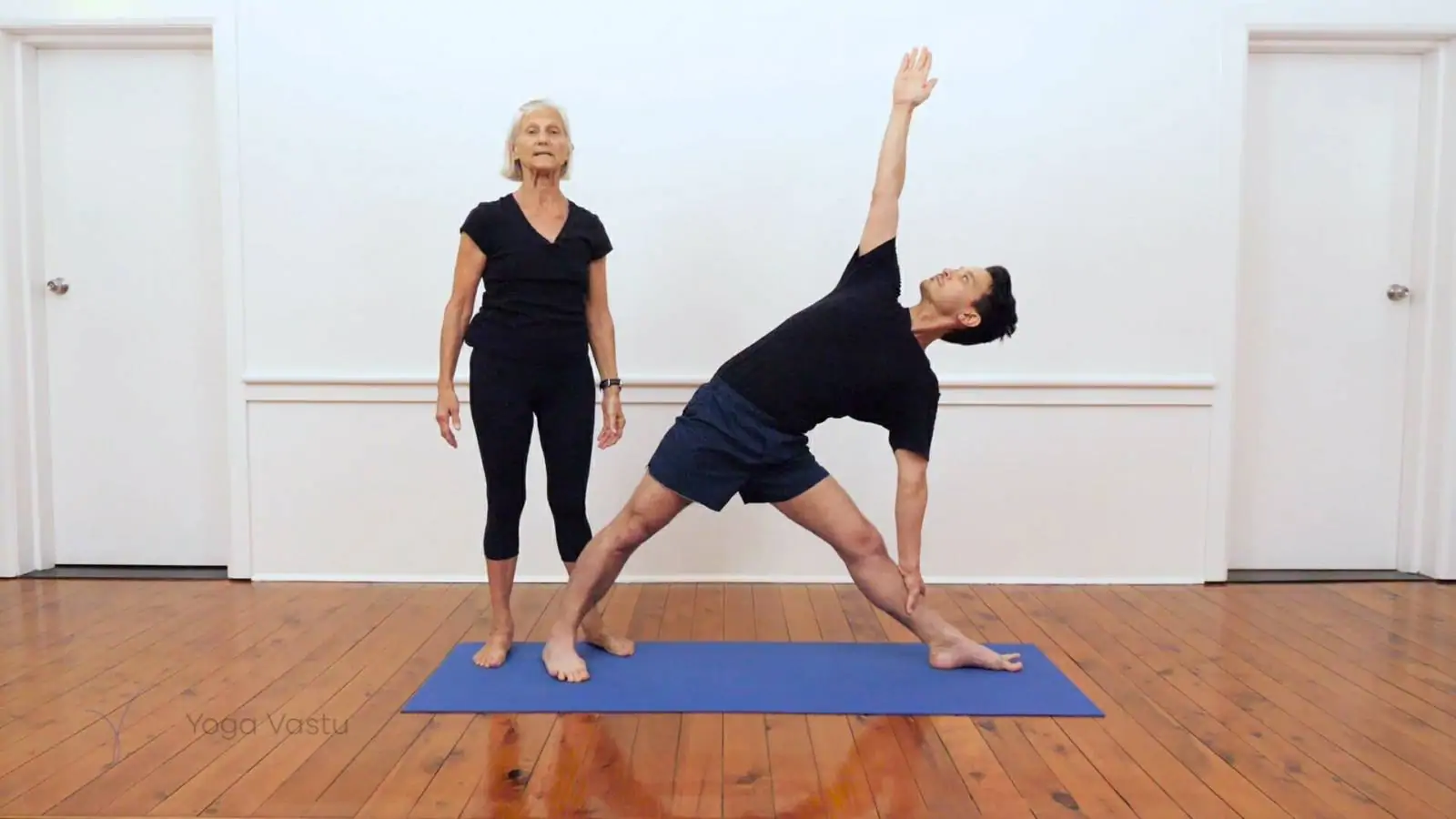 Iyengar yoga for beginners class 1