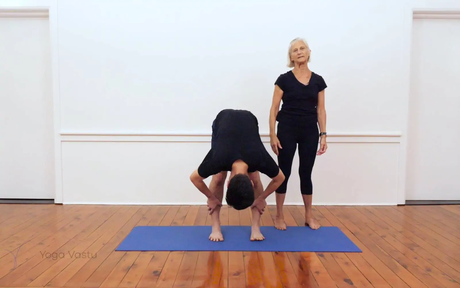 Online Iyengar yoga videos | Iyengar yoga for beginners class 1