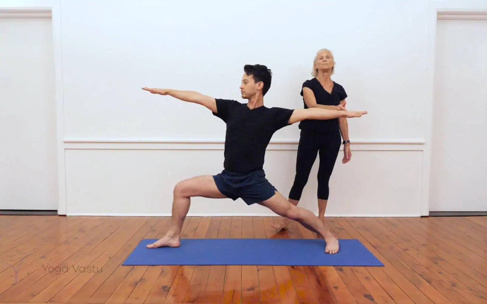 Online Iyengar yoga videos | Iyengar yoga for beginners class 1