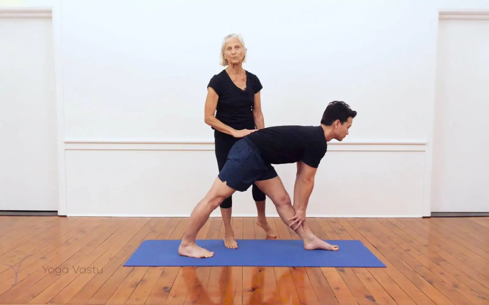 Online Iyengar yoga videos | Iyengar yoga for beginners class 1