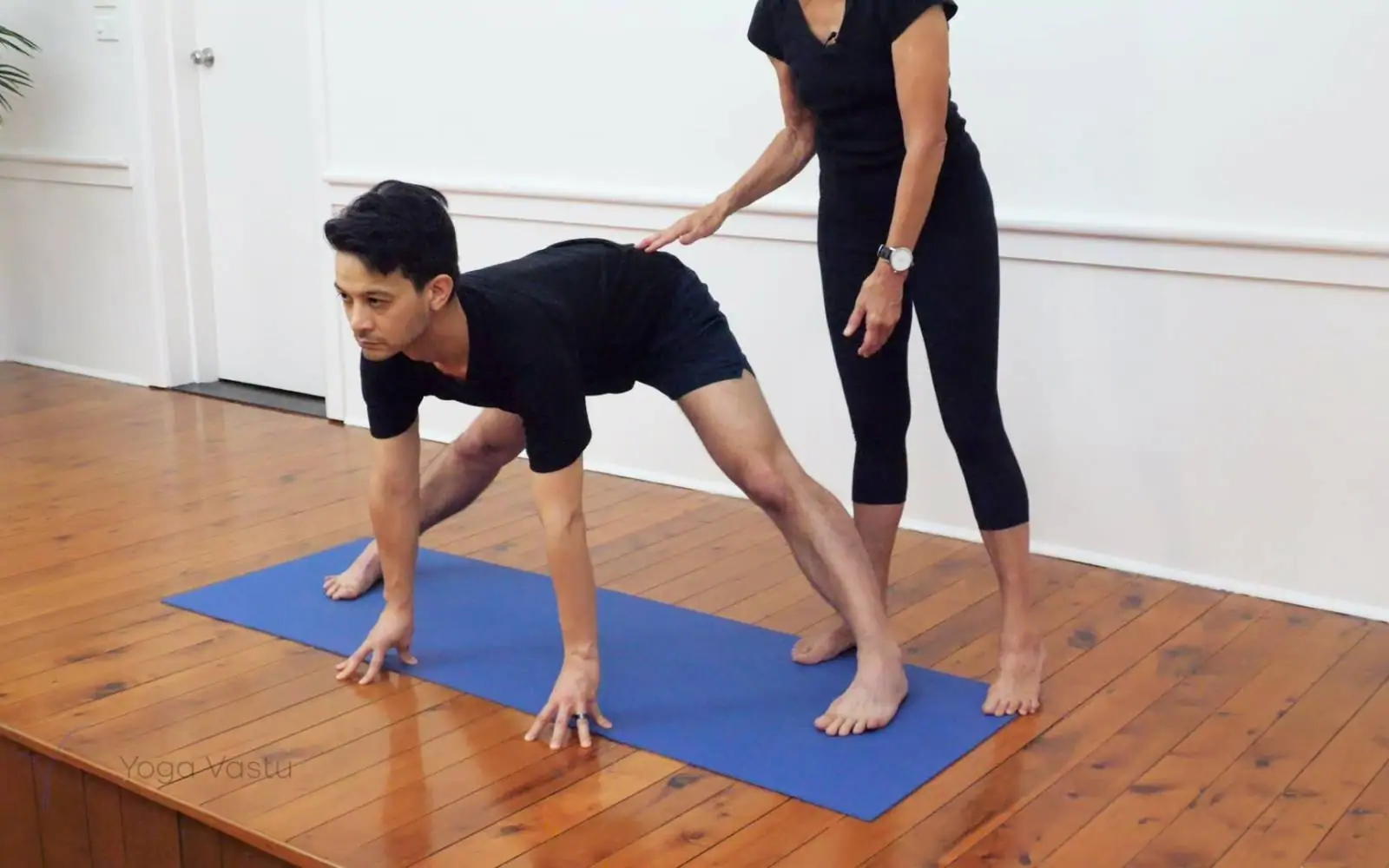 Online Iyengar yoga videos | Iyengar yoga for beginners class 1