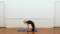 Iyengar yoga video thumbnail: Backbends for Experienced Students (407)
