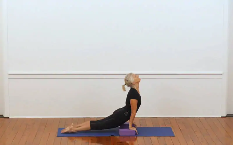 Backbends for general level students (207)