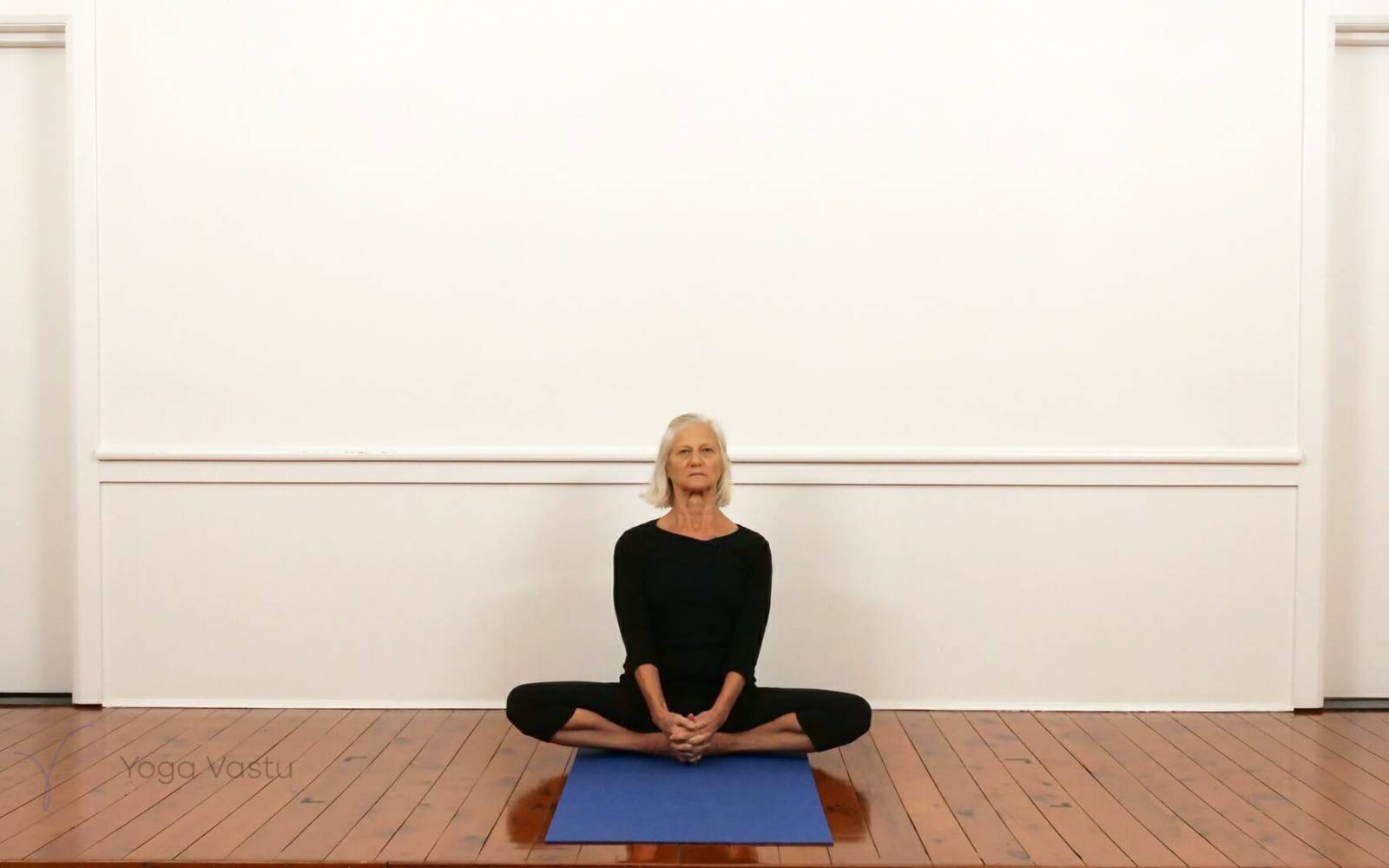 Online Iyengar yoga videos | Dynamic forward bend session (212)