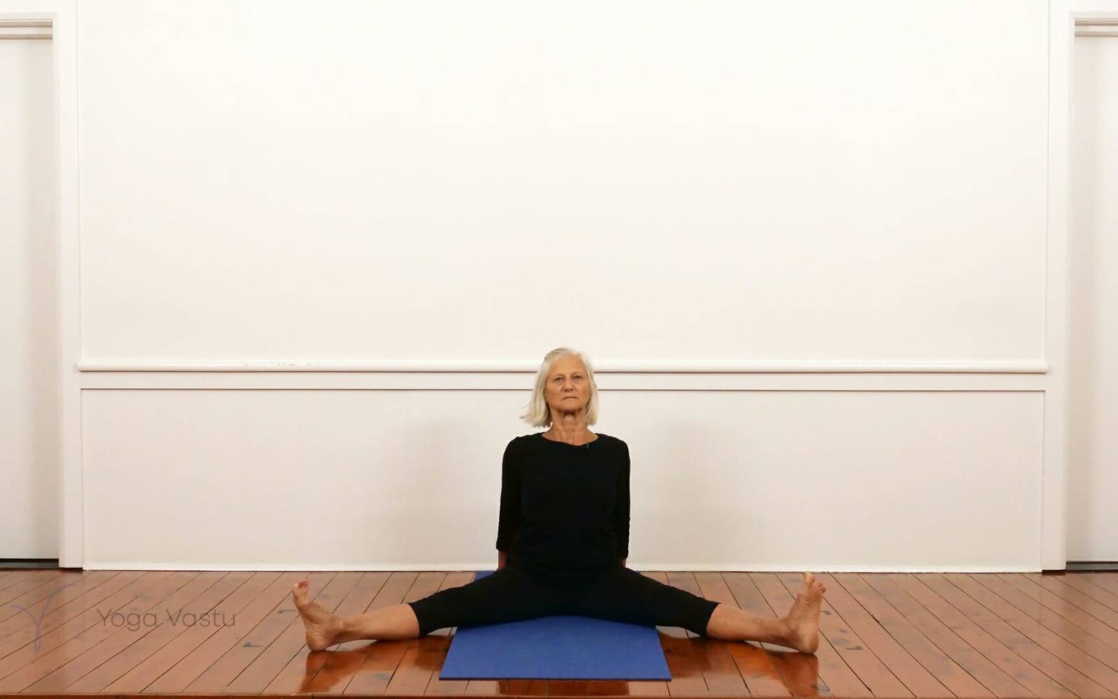 Online Iyengar yoga videos | Dynamic forward bend session (212)
