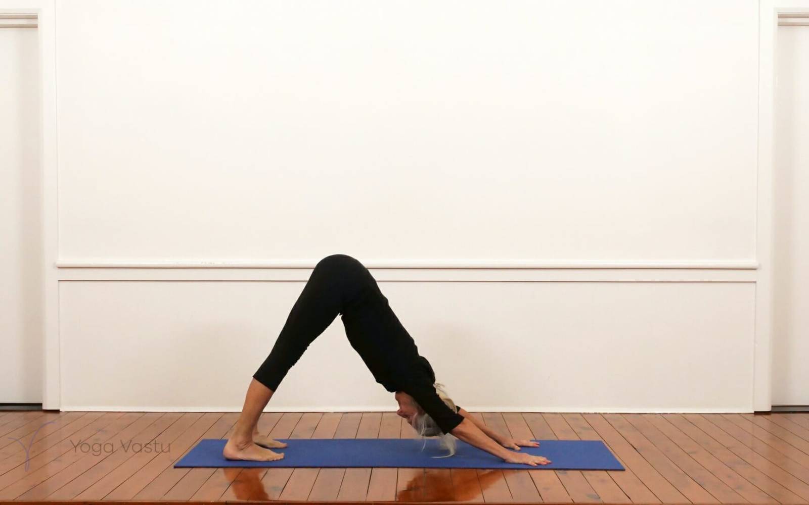 Online Iyengar yoga videos | Dynamic forward bend session (212)