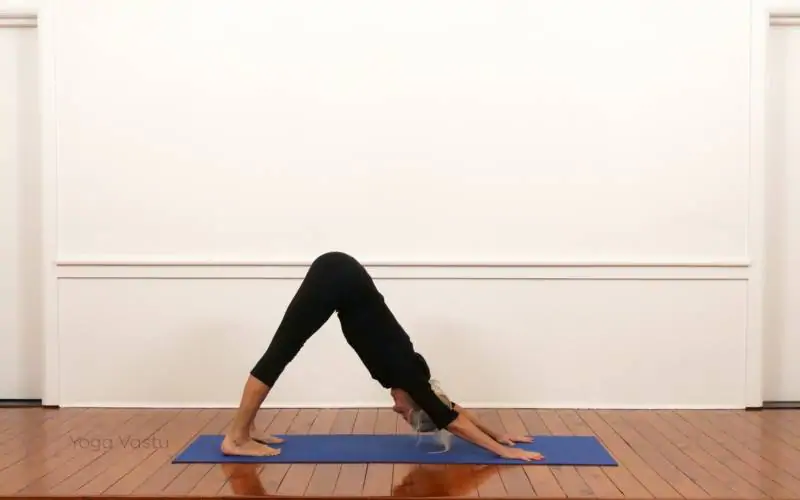 Shoulderstand (Salamba Sarvangasana) | Iyengar Yoga