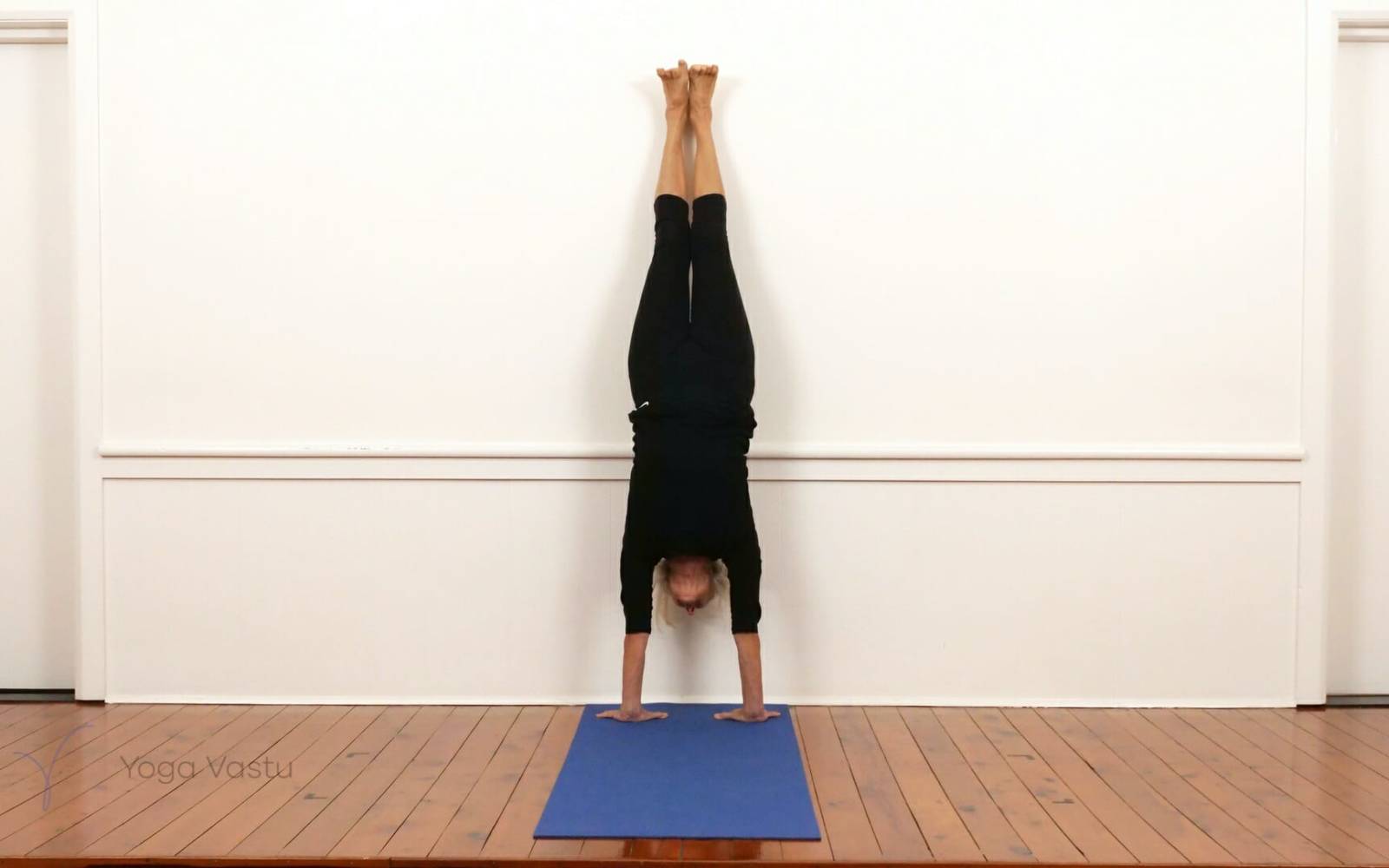 Online Iyengar yoga videos | Dynamic forward bend session (212)