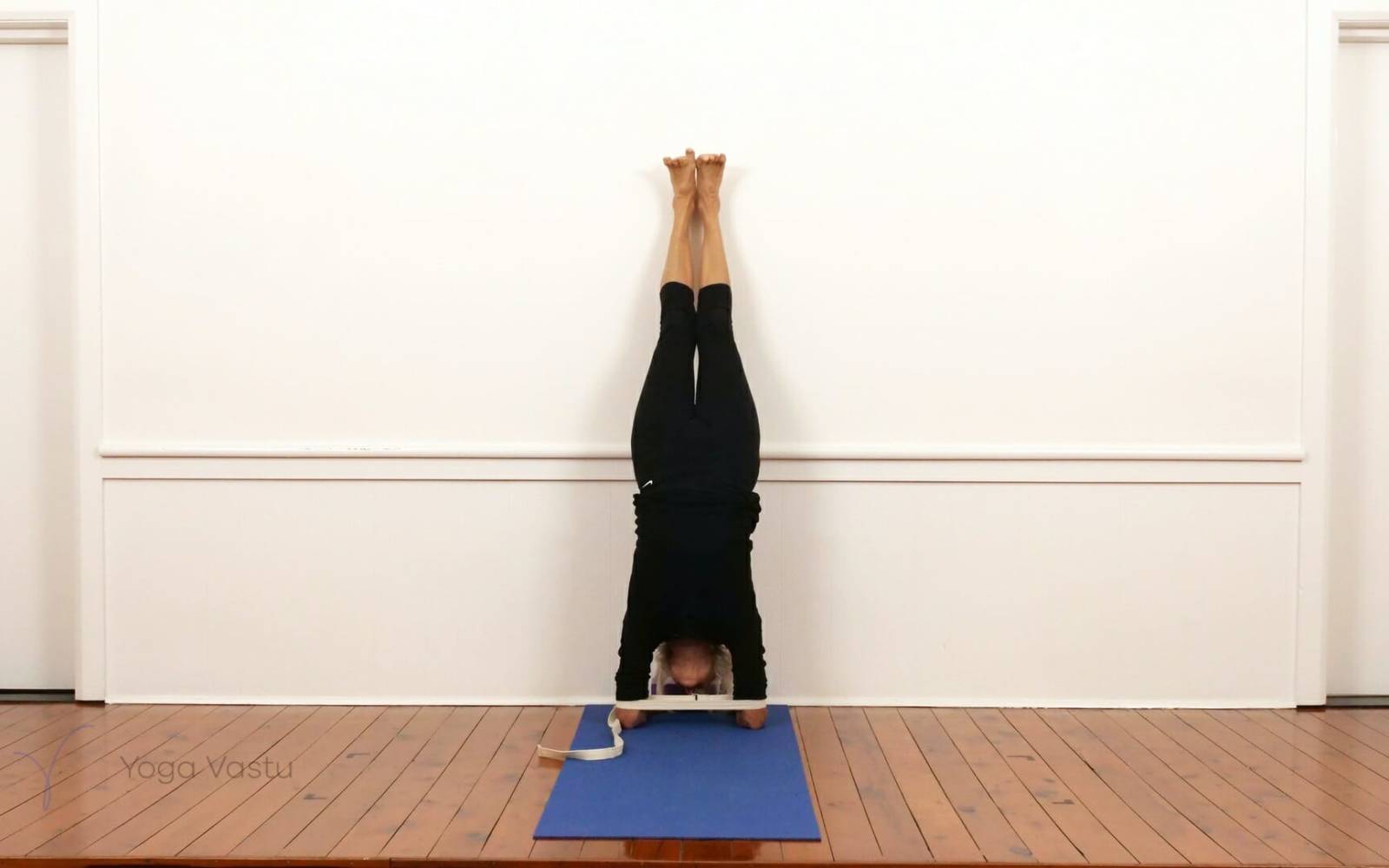 Online Iyengar yoga videos | Dynamic forward bend session (212)