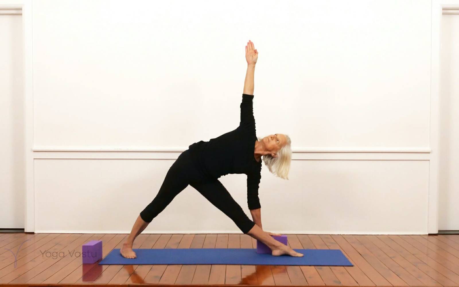 Online Iyengar yoga videos | Dynamic forward bend session (212)