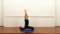Iyengar yoga video thumbnail: Hip focus session for general students (209)