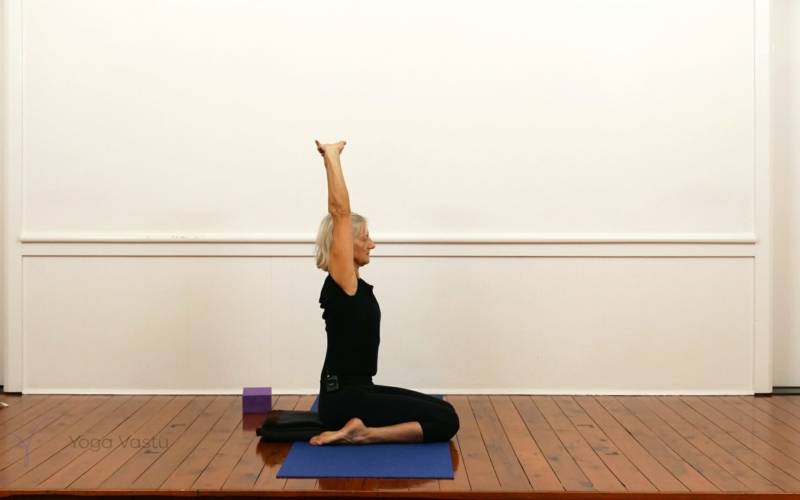 Hip focus session for general students (209)