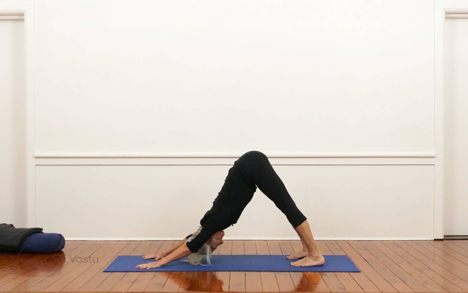 Online Iyengar yoga videos | Shoulder-opening poses with restorative and pranayama (210)