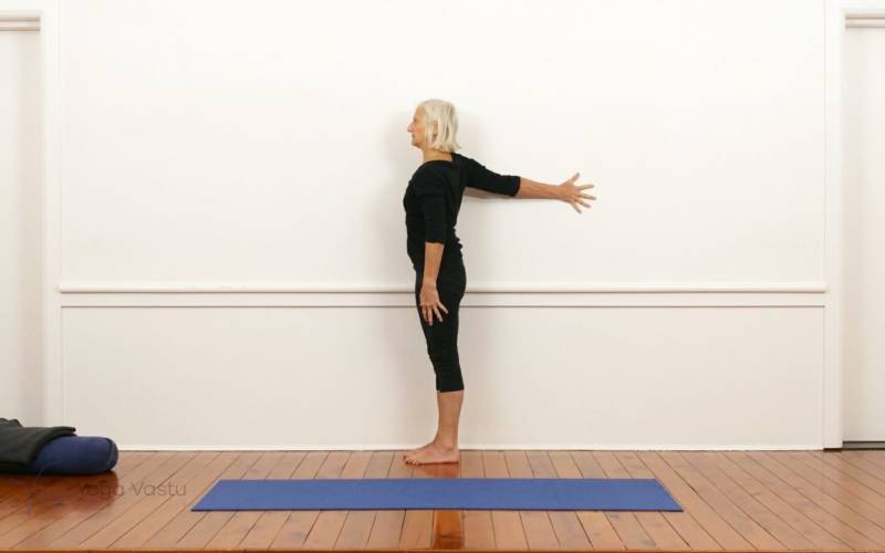 Shoulder-opening poses with restorative and pranayama (210)