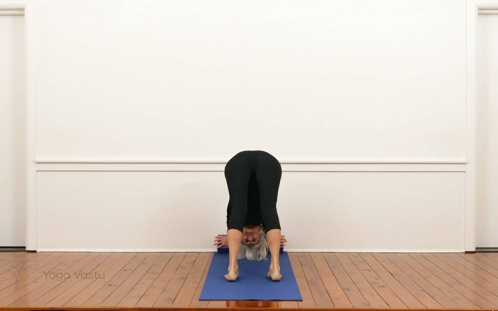 Online Iyengar yoga videos | Shoulder-opening poses with restorative and pranayama (210)