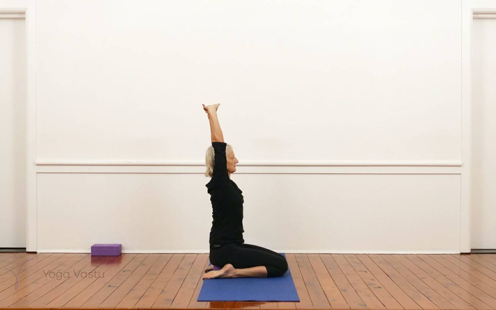 Online Iyengar yoga videos | Shoulder-opening poses with restorative and pranayama (210)