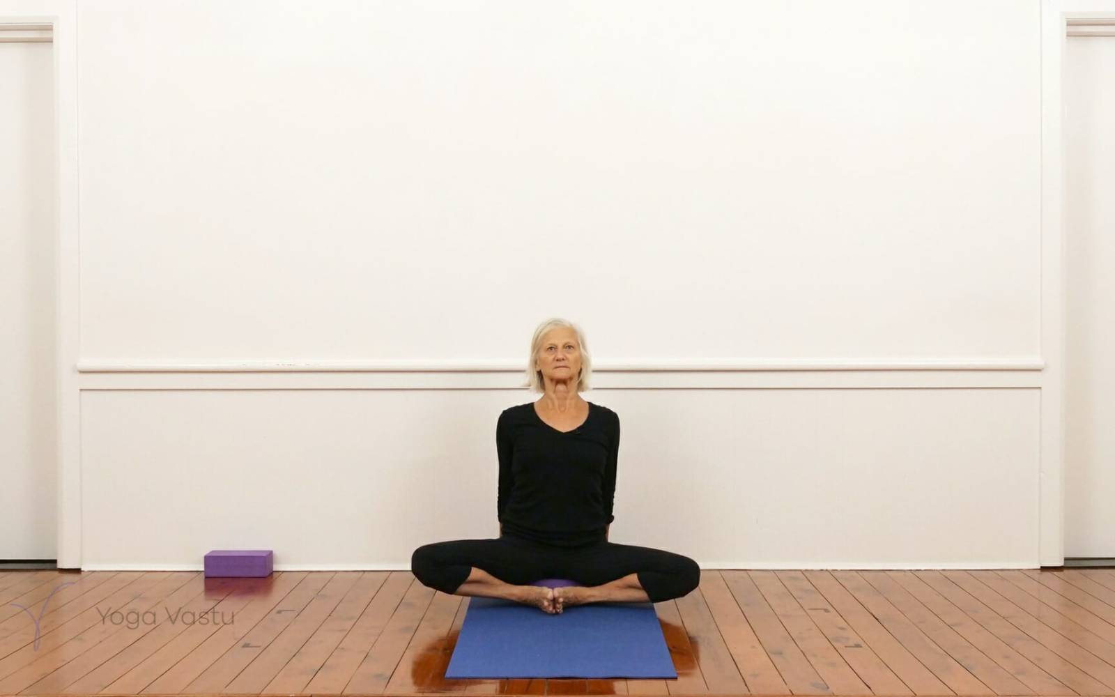 Online Iyengar yoga videos | Shoulder-opening poses with restorative and pranayama (210)